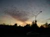 <img100*0:stuff/aj/42000/1263569836.jpg>
