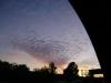 <img100*0:stuff/aj/42000/1263571486.jpg>