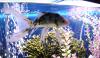 <img100*0:stuff/aj/42000/1264607572.jpg>