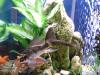 <img100*0:stuff/aj/42000/1264607633.jpg>