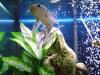 <img100*0:stuff/aj/42000/1264607707.jpg>
