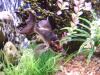 <img100*0:stuff/aj/42000/1264607793.jpg>