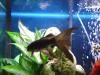 <img100*0:stuff/aj/42000/1264608060.jpg>