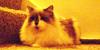 <img100*0:stuff/aj/42000/1265136518.jpg>