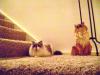 <img100*0:stuff/aj/42000/1265136568.jpg>