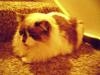 <img100*0:stuff/aj/42000/1265136606.jpg>