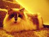 <img100*0:stuff/aj/42000/1265216423.jpg>