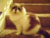 <img100*0:stuff/aj/42000/1265218089.jpg>