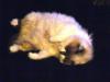 <img100*0:stuff/aj/42000/1265220483.jpg>