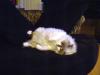 <img100*0:stuff/aj/42000/1265221080.jpg>