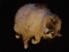 <img100*0:stuff/aj/42000/1265221385.jpg>