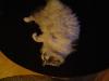 <img100*0:stuff/aj/42000/1265221543.jpg>