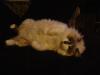 <img100*0:stuff/aj/42000/1265221729.jpg>