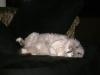 <img100*0:stuff/aj/42000/1265221794.jpg>