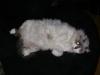 <img100*0:stuff/aj/42000/1265221828.jpg>