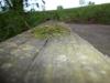 <img100*0:stuff/aj/42000/1282750304.jpg>