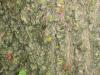 <img100*0:stuff/aj/42000/1282750356.jpg>