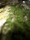 <img100*0:stuff/aj/42000/1282750379.jpg>