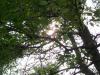 <img100*0:stuff/aj/42000/1282756812.jpg>