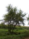 <img100*0:stuff/aj/42000/1282756831.jpg>