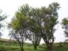 <img100*0:stuff/aj/42000/1282756840.jpg>