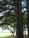 <img100*0:stuff/aj/42000/1282756857.jpg>