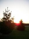 <img100*0:stuff/aj/42000/1282756871.jpg>