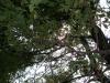 <img100*0:stuff/aj/42000/1282756878.jpg>
