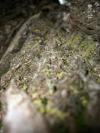 <img100*0:stuff/aj/42000/1282756885.jpg>