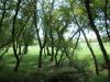 <img100*0:stuff/aj/42000/1282756906.jpg>
