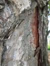 <img100*0:stuff/aj/42000/1282757172.jpg>