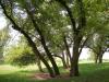 <img100*0:stuff/aj/42000/1282757180.jpg>