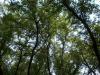<img100*0:stuff/aj/42000/1282757194.jpg>