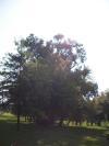 <img100*0:stuff/aj/42000/1282757201.jpg>