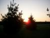 <img100*0:stuff/aj/42000/1282757231.jpg>
