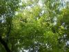 <img100*0:stuff/aj/42000/1282757257.jpg>