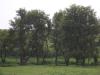 <img100*0:stuff/aj/42000/1282757264.jpg>