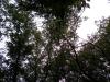 <img100*0:stuff/aj/42000/1282757272.jpg>