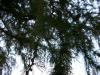 <img100*0:stuff/aj/42000/1282757515.jpg>