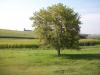 <img100*0:stuff/aj/42000/1282757532.jpg>