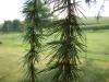 <img100*0:stuff/aj/42000/1282757544.jpg>