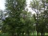 <img100*0:stuff/aj/42000/1282757551.jpg>