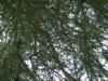 <img100*0:stuff/aj/42000/1282757568.jpg>