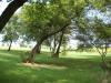 <img100*0:stuff/aj/42000/1282757575.jpg>