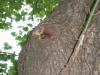 <img100*0:stuff/aj/42000/1282757601.jpg>