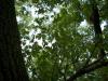 <img100*0:stuff/aj/42000/1282757609.jpg>