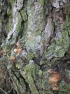 <img100*0:stuff/aj/42000/1282757617.jpg>
