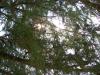 <img100*0:stuff/aj/42000/1282758964.jpg>