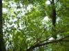<img100*0:stuff/aj/42000/1282759027.jpg>