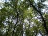 <img100*0:stuff/aj/42000/1282759036.jpg>